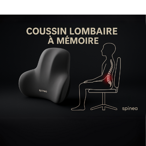 Coussin lombaire SPINEA
