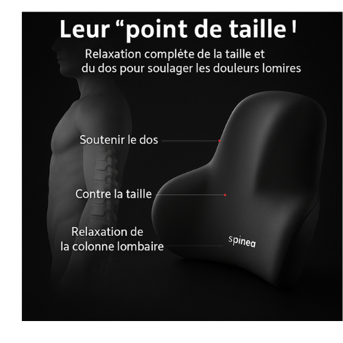 Coussin lombaire SPINEA