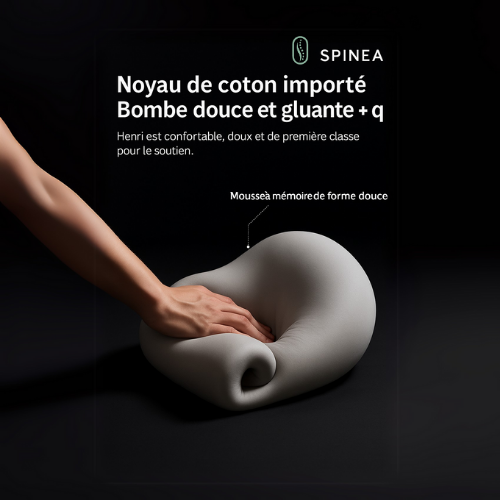 Coussin lombaire SPINEA