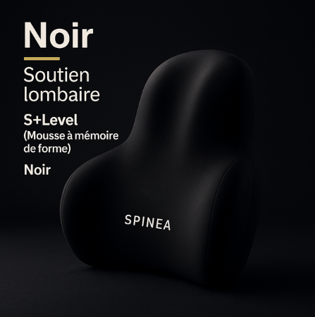 Coussin lombaire SPINEA